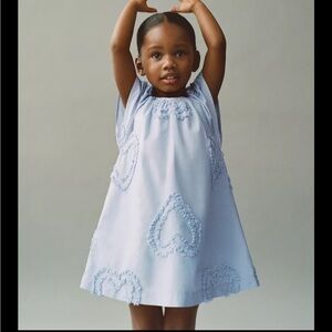 Zara embroidered heart dress